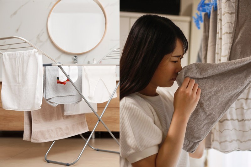 室內晾衫6大秘訣｜下雨潮濕快速晾乾衣服技巧｜推介5款二合一抽濕空氣清新機