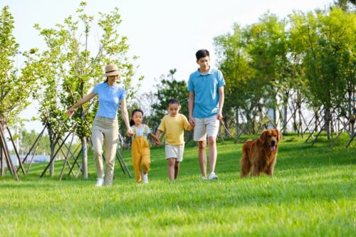 親子活動｜放狗好去處｜寵物公園4月21日起增設逾60個｜一文睇盡全港各區寵物共享公園名單