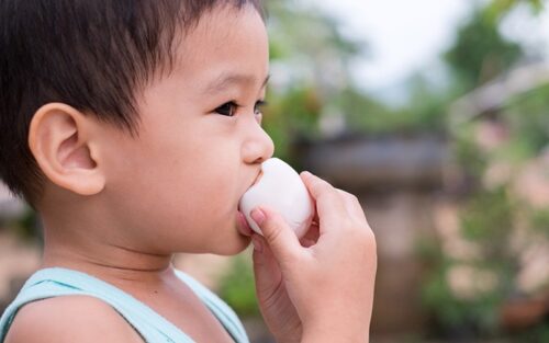研究：每日吃雞蛋有助孩子成長