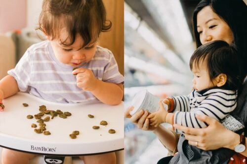 嬰幼兒小食｜家長必睇：消委會／香港營養師協會教你揀健康嬰幼兒零食＋進食注重事項！