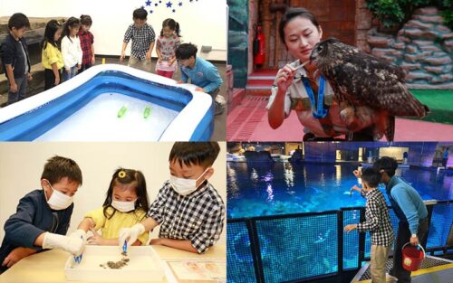 難得機會親親小動物　海洋公園全新STEAM幼兒課程