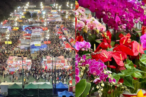 香港年宵花市整合指南2026｜親子路線推介、時間開放及交通