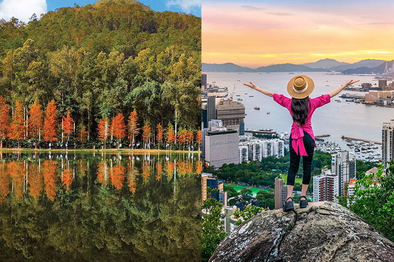 香港新手行山好去處2026｜親子散步路線推介 附行山路線+交通方法